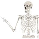 Osteoporosis - Tips for Patients by Dr. Christine Palmay